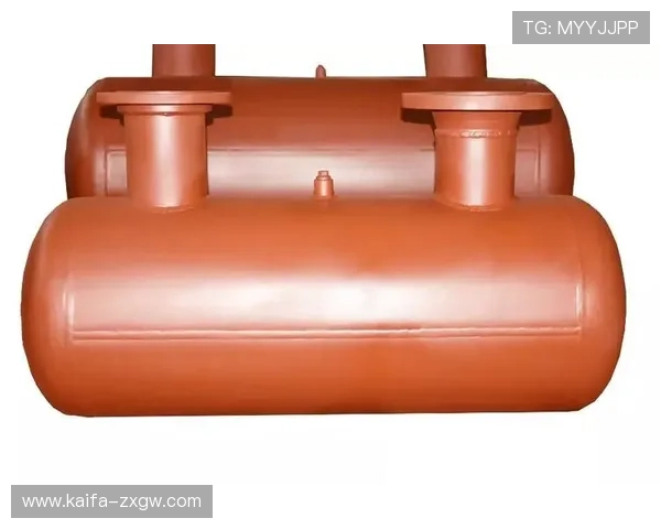 凯发首页地址的主要功能有哪些，如何提升玩家的游戏体验和账户安全保障