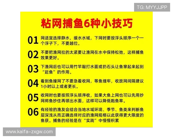 提升捕鱼技巧的实用指南:在K8捕鱼网投中轻松获胜的方法
